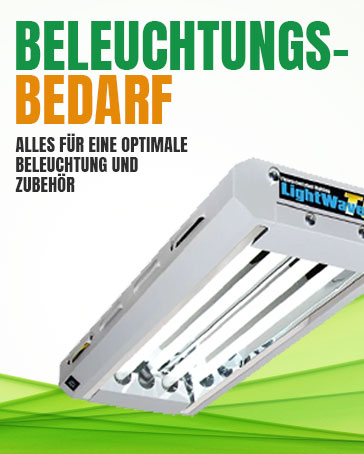 Beleuchtung