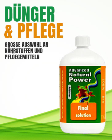 Dünger & Pflege