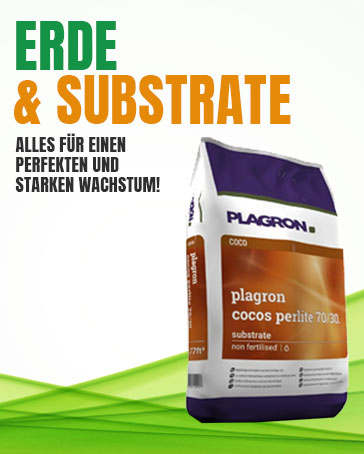 Substrate